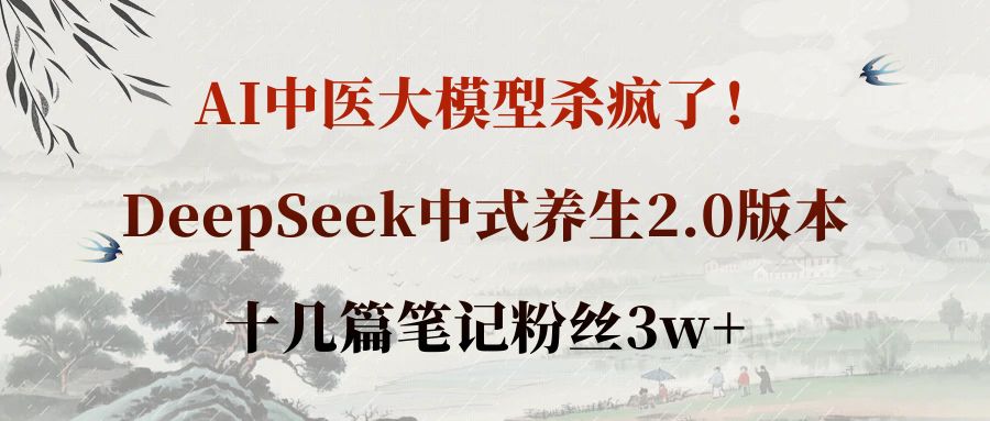 AI中医大模型杀疯了！DeepSeek中式养生2.0版本，十几篇笔记粉丝3w+网创吧-网创项目资源站-副业项目-创业项目-搞钱项目网创吧